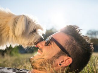 Haustiere für den modernen Mann